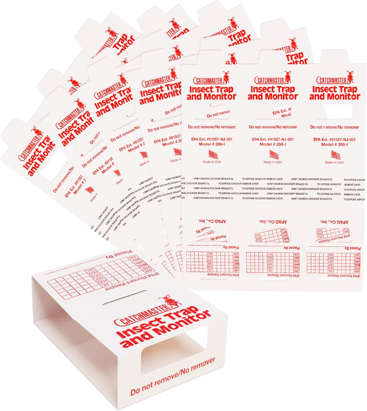 Image #10