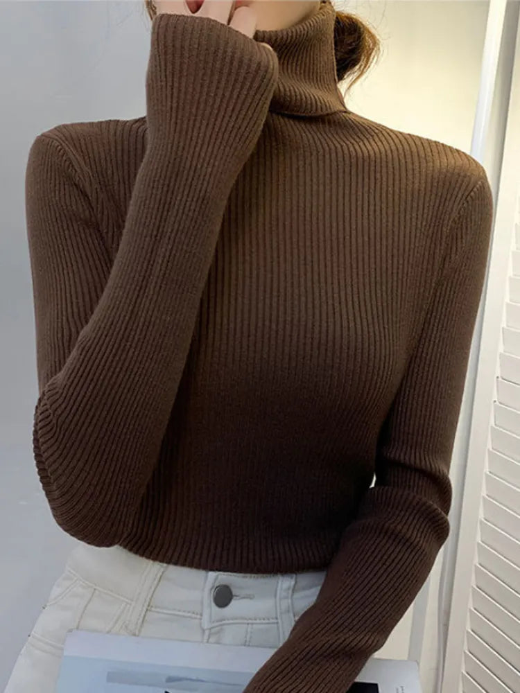 Rollkragenpullover Pullover Pulli Basic Damen viele Fyarben XS- S