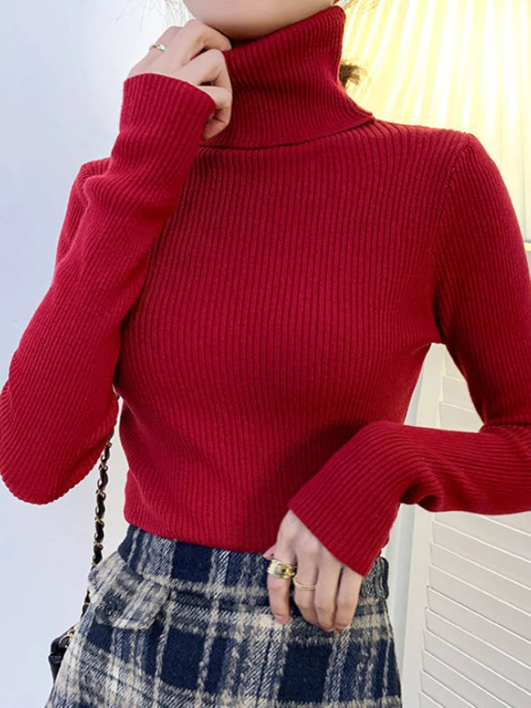 Rollkragenpullover Pullover Pulli Basic Damen viele Fyarben XS- S