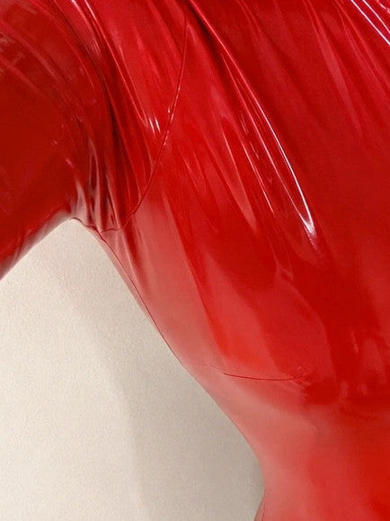 REI red jumpsuit with shiny wetlook finish and full-length zipper, size XL.